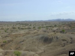 Tools made by early humans called Homo erectus were found at this site in Lake Turkana's ancient shoreline sediments in eastern Kenya.