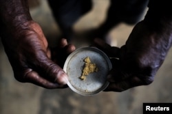 A wildcat gold miner, or garimpeiro, holds up gold before selling it in a village near Crepurizao, Brazil, Aug. 6, 2017.