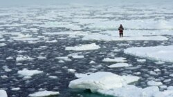 Aktivis lingkungan, Mya-Rose Craig, memegang spanduk bertuliskan "youth strike for climate" atau (pemuda mogok demi iklim" selagi duduk di lapisan es yang mengapung di tengah laut Arktik, September 2020 (Dok: REUTERS/Natalie Thomas)
