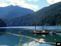 Lake Mills before its drawdown to facilitate the dam removal.