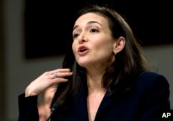 Facebook Chief Operating Officer Sheryl Sandberg testifies before a Senate Intelligence Committee hearing on foreign influence operations and their use of social media on Capitol Hill, Sept. 5, 2018, in Washington.