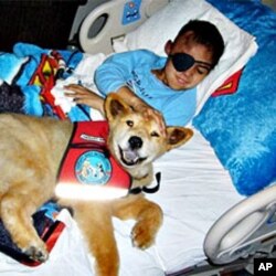 Children loved Baxter