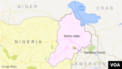 Borno State and Sambisa Forest