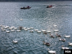 Tourists go boating in Naini Lake. (VOA/A. Pasricha)