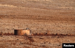 A kangaroo drinks from a water tank located in a drought-affected paddock on farmer Ash Whitney's property, located west of the town of Gunnedah in northwestern New South Wales, Australia, June 3, 2018.