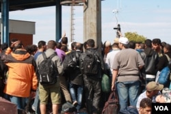 Weary people from the Middle East and Africa on the move to Europe crowd authorities in Opatovac, Croatia, for information on how to get to their next destination, Sept. 22, 2015 (VOA / H. Murdock)