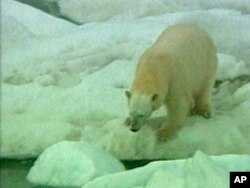 Fifteen environmental groups have asked the Obama administration to delay scheduled offshore drilling in northern Alaska.