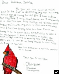 Olivia Bouler, 11, writes a letter to the Audubon Society to see if she could do something for the birds hurt by the BP oil spill
