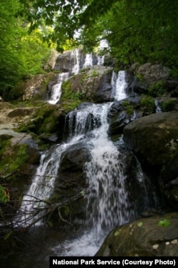 Dark Hollow Falls, Shenandoah National Park