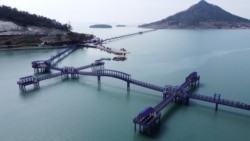 An aerial view shows purple-coloured bridges at the Purple Island in Shinan, South Korea, March 9, 2021. Picture taken March 9, 2021. REUTERS/Daewoung Kim