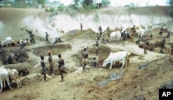 During the dry part of the year, when the water table drops, the Nyangatom, Mursi and other tribes of the area dig deep holes in river beds to water their cattle and to get drinking water.