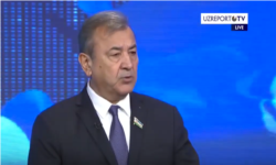 Sodiq Safoyev, O'zbekiston Senati raisi o'rinbosari
