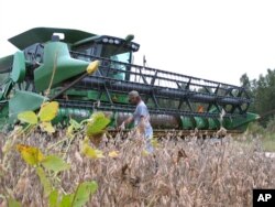 Farmer Jeremy Cannon checks his combine as he gets ready to harvest of his soybean crop, Oct. 5, 2016, at his farm in Turbeville, South Carolina.