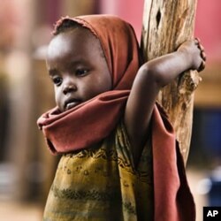 A newly arrived Somali refugee child awaits medical examinations at the Dadaab camp, near the Kenya-Somalia border