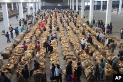 FILE - Indigenous tobacco farmers are seen at Boka Tobacco auction floors, in Harare, Zimbabwe, Tuesday May 14, 2013.