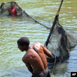 This Malawi fish farmer uses his pond waste water to irrigate his maize crop and boost his income.