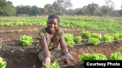 Electricity has made it possible for villagers in Benin to produce tons of food. (SELF)