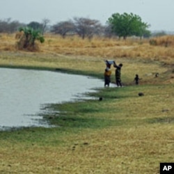 Residents draw and use water from a pond that also is used by their livestock and other animals, in Yola, Adamawa state, Nigeria, February 24, 2012.