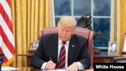 دونالد ترامپ، رئیس جمهوری آمریکا - آرشیو