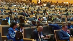 JARIDA LA WIKIENDI: Mjadala wa maadhimio ya mkutano wa Umoja wa Afrika