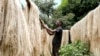 Ugandan Business Turns Banana Fiber Into Sustainable Handicrafts