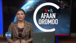 Tamsaasa Guyaadhaa Guyyaa