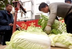 FILE -A vendor weighs cabbage in Beijing, China.