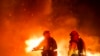 Kebakaran Hutan di California Selatan Terus Meluas