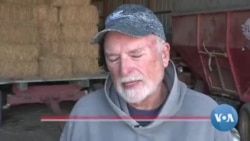  Agricultores e economistas dos EUA avaliam o impacto das tarifas