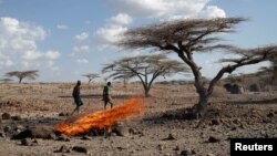 A Turkana tribesman walks in front of burned goats' carcasses in a village near Loiyangalani, Kenya, March 20, 2017. 
