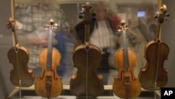 In the 1930s, Gertrude Clarke Whittall donated five stringed instruments, made by famed Cremonese master craftsman Antonio Stradivari, to the Library of Congress.