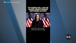 Will pro-Palestinian opposition hurt Harris in Michigan? 