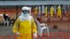 Scientists Use Mutations to Track Ebola Origins 