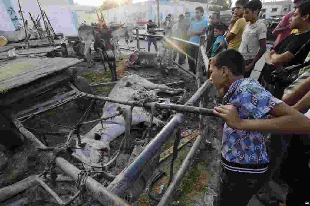 Palestinians look at donkeys that were killed by an Israeli strike earlier in the day at the adjacent Abu Hussein U.N. school seen in background, in Jebaliya refugee camp, northern Gaza Strip, July 30, 2014.&nbsp;