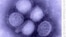 FILE - An image of H1N1 influenza virus from the U.S. Centers for Disease Control and Prevention.