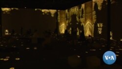 Virtual Museum Highlights Paintings of Vincent Van Gogh