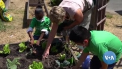 Student Program Cultivates Environmental Leaders