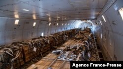 Esta foto de un folleto, cortesía de la Fuerza Aérea de los EE. UU., tomada el 22 de enero de 2022, muestra a aviadores del 60° Escuadrón de Puerto Aéreo llevando carga a una nave 757 en la Base de la Fuerza Aérea de Travis, California, EE. UU.