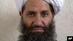 Pemimpin pejuang Taliban, Mullah Hibatullah Akhundzada berpose untuk sebuah potret tidak bertanggal dan lokasi yang tidak diketahui (foto: Afghan Islamic Press via AP)