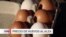 Gripe aviar eleva precios de huevos en EEUU