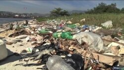 Scientists Say Pacific Trash Patch Is Sea of Chemical Sludge