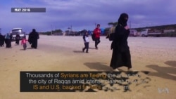 Thousands of Syrian Civilians Search for Safer Location