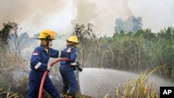 Fire fighters spray water to extinguish wildfires in Pekanbaru, Riau province, Indonesia, Feb. 27, 2014.