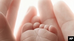 Award-Winning Film Explores Meaning of Life