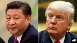 This combination of file photos show U.S. President Donald Trump, right, in a meeting at the White House in Washington, on March 31, 2017, and China's President Xi Jinping in a meeting at the Great Hall of the People in Beijing, on Dec. 1, 2016. (AP Photo/File)