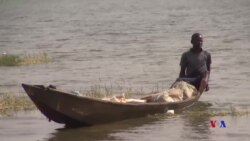 BIDIYO: An Bude Bikin Kamun Kiffi Na Garin Cerasa Mangou Dake Jihar Konni