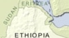 Rights Group Criticizes Ethiopia over Farmland Leases