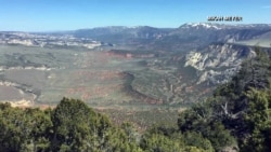 Ancient Rocks and Fossils Await Park Visitors