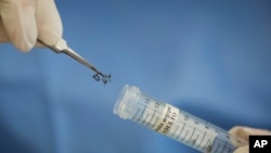 A technician of the Fiocruz institue stores Aedes aegypti mosquitoes to be used in research, in Recife, Pernambuco state, Brazil, Wednesday, Jan. 27, 2016.
