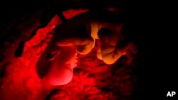 Sheep huddle together as they are brought for sale at a market ahead of Eid al-Adha festival in Srinagar, Indian-controlled Kashmir.